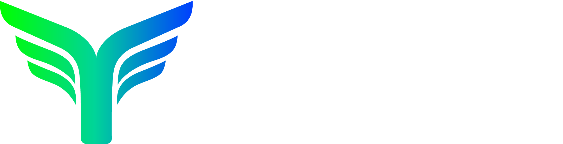 晔生航空logo